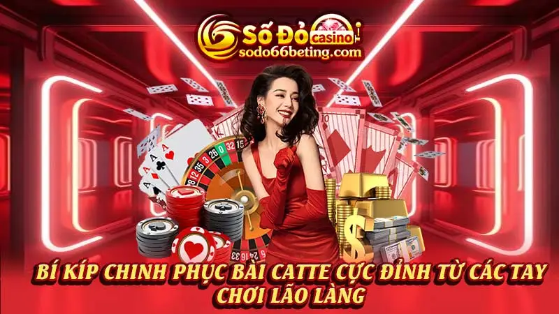 Bí kíp chinh phục bài Catte cực đỉnh từ các tay chơi lão làng