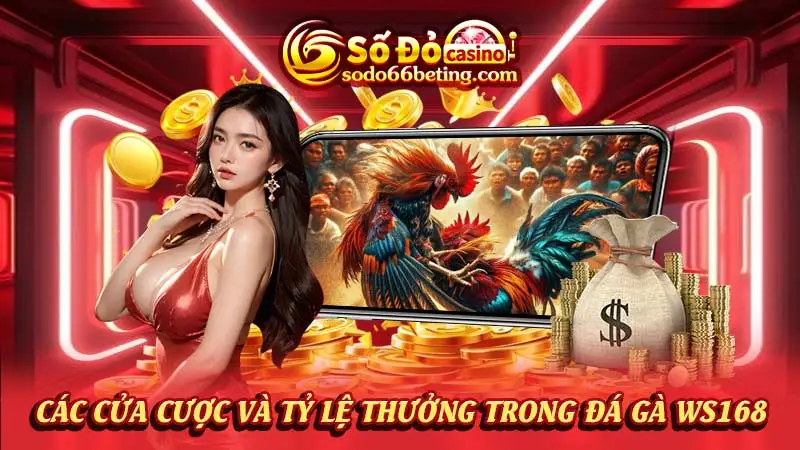 Các cửa cược và tỷ lệ thưởng trong đá gà WS168