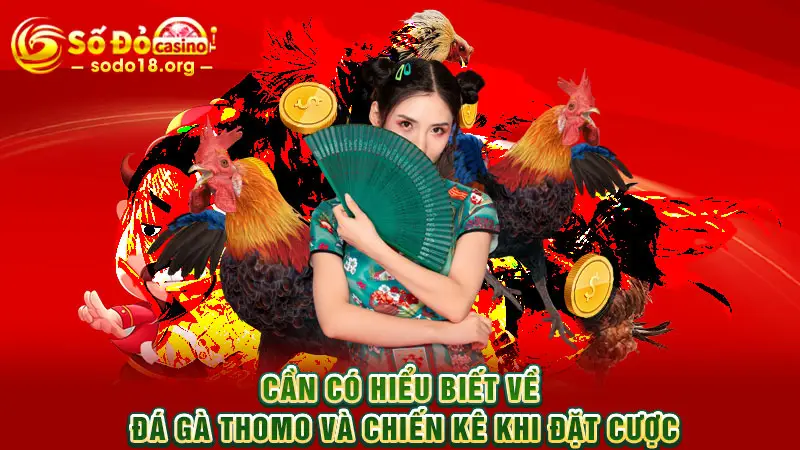 Cần có hiểu biết về Đá gà Thomo và chiến kê khi đặt cược