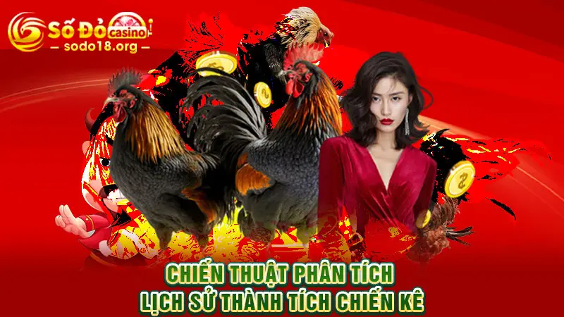 Chiến thuật phân tích lịch sử thành tích chiến kê