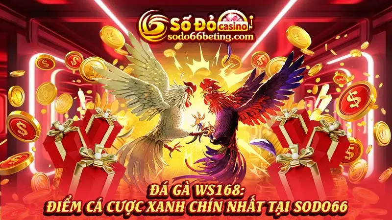 Đá gà WS168: Điểm cá cược xanh chín nhất tại SODO66