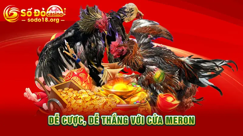 Dễ cược, dễ thắng với cửa Meron