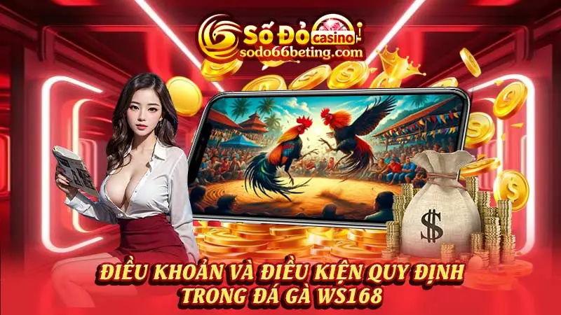 Điều khoản và điều kiện quy định trong đá gà WS168