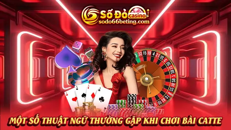 Một số thuật ngữ thường gặp khi chơi bài Catte