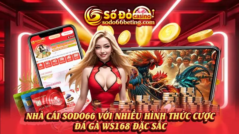 Nhà cái SODO66 với nhiều hình thức cược đá gà WS168 đặc sắc