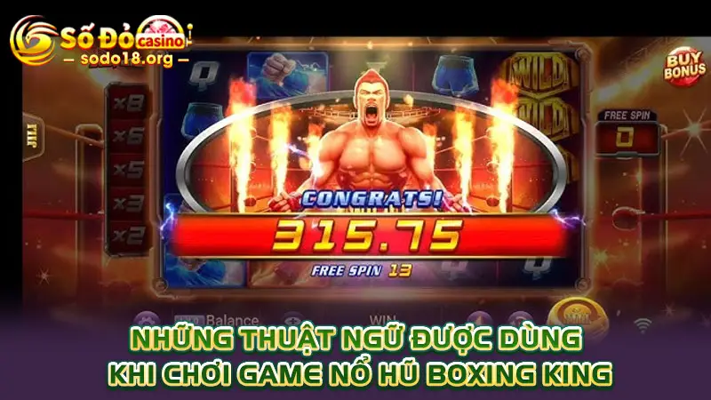 Những thuật ngữ được dùng khi chơi game nổ hũ Boxing King