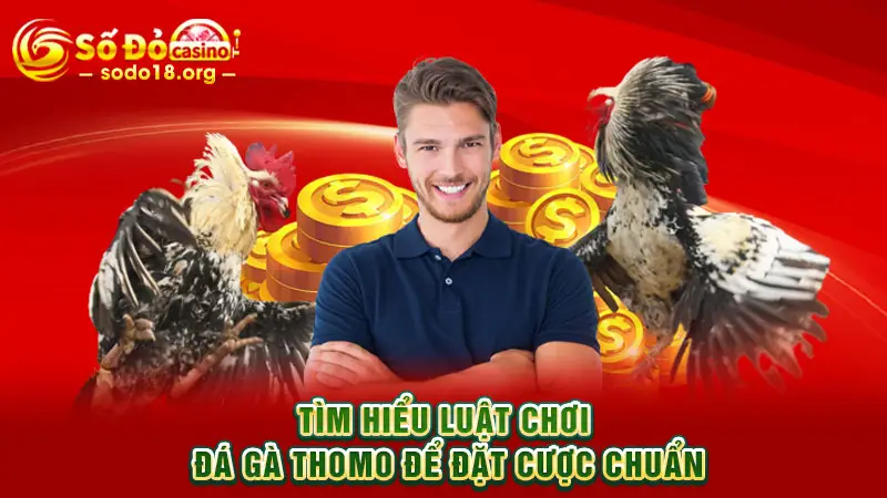 Tìm hiểu luật chơi Đá gà Thomo để đặt cược chuẩn