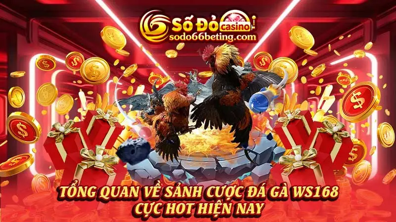 Tổng quan về sảnh cược đá gà WS168 cực hot hiện nay  
