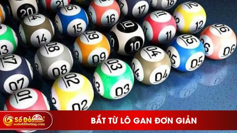 Bắt từ lô gan đơn giản