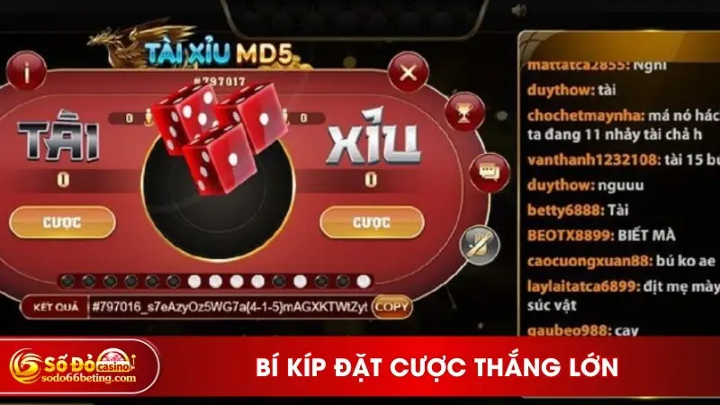 Bí kíp đặt cược thắng lớn