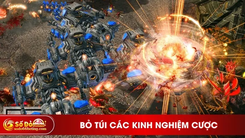 Bỏ túi các kinh nghiệm cược