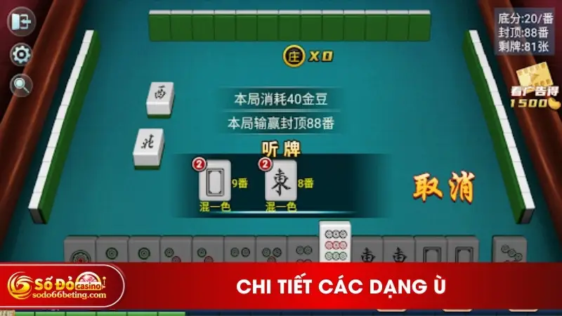Chi tiết các dạng ù
