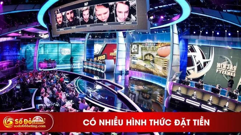 Có nhiều hình thức đặt tiền
