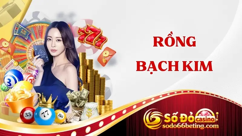 Rồng bạch kim
