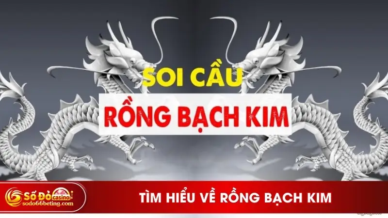 Tìm hiểu về rồng bạch kim