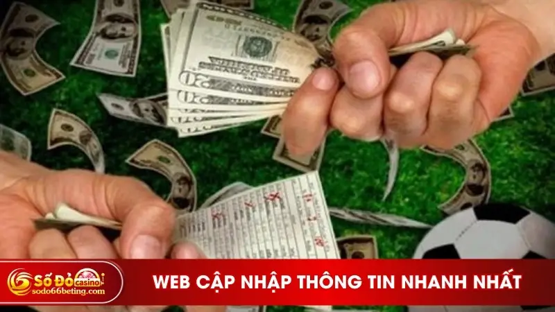 Web cập nhập thông tin nhanh, chuẩn nhất