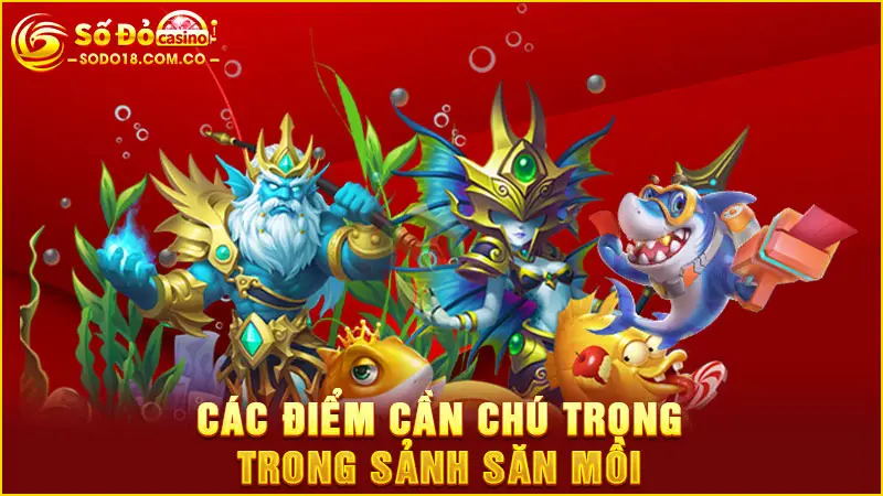 Các điểm cần chú trọng trong sảnh săn mồi