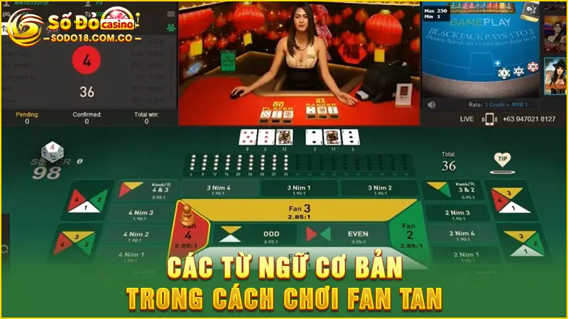Các từ ngữ cơ bản trong cách chơi fan tan