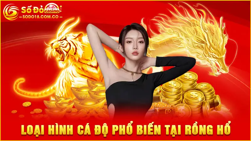 Loại hình cá độ phổ biến tại rồng hổ