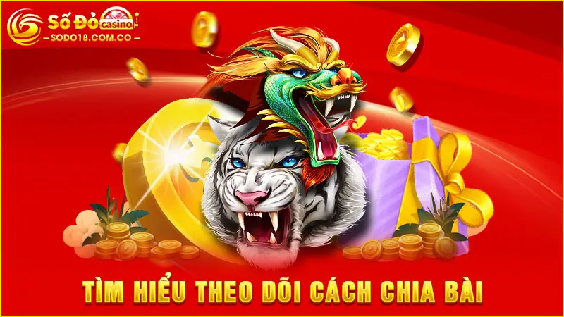 Tìm hiểu theo dõi cách chia bài