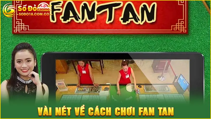 Vài nét về cách chơi fan tan