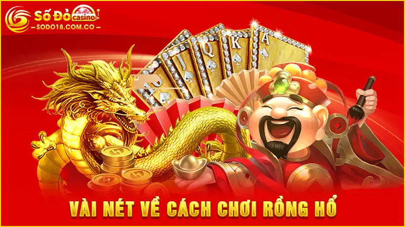 Vài nét về cách chơi rồng hổ